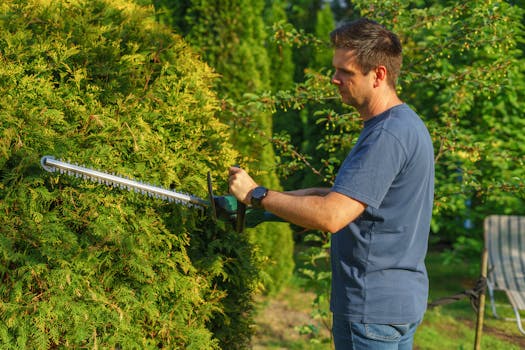 Man trimming hedge with electric trimmer in a sunny garden.