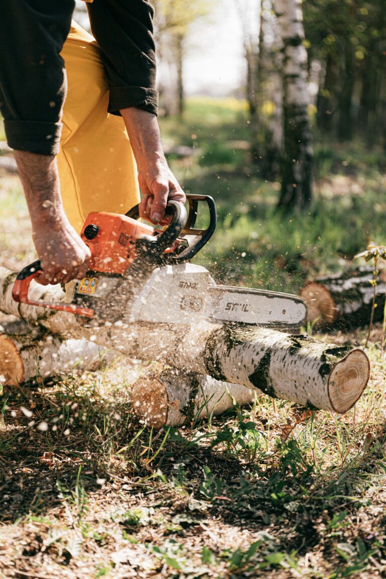 Focused lumberjack using a chainsaw to cut logs in a sunny forest clearing.