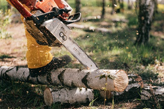 Lumberjack in action cutting birch logs with a chainsaw in a forest setting.